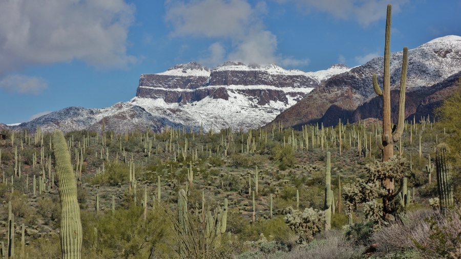 Absolutely Arizona reveals A Mountain history